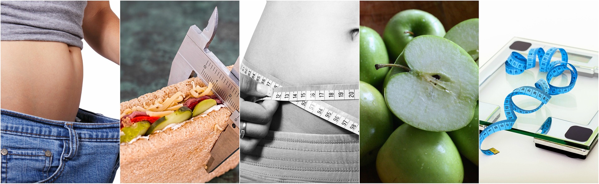 Clinical nutrition consultation at Pure Health and Wellness in Naperville